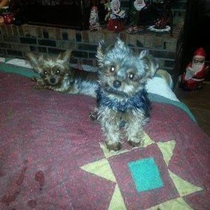 Meet your Posher, Gary